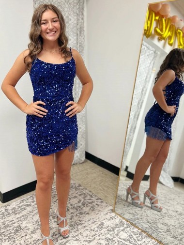 Short Royal Blue Sleeveless Sheath Velvet Sequin Dress Birmingham